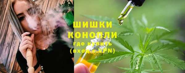 крисы Медногорск