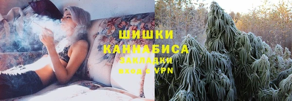 крисы Медногорск