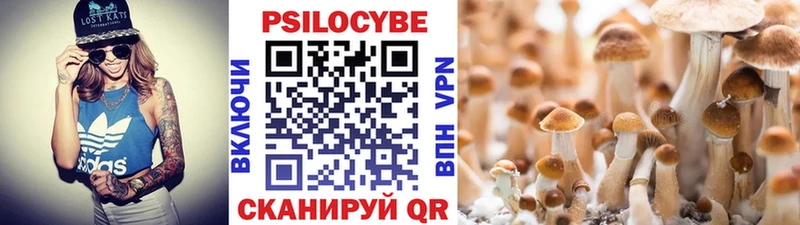 дарнет шоп  kraken сайт  Псилоцибиновые грибы Psilocybine cubensis  Цимлянск 